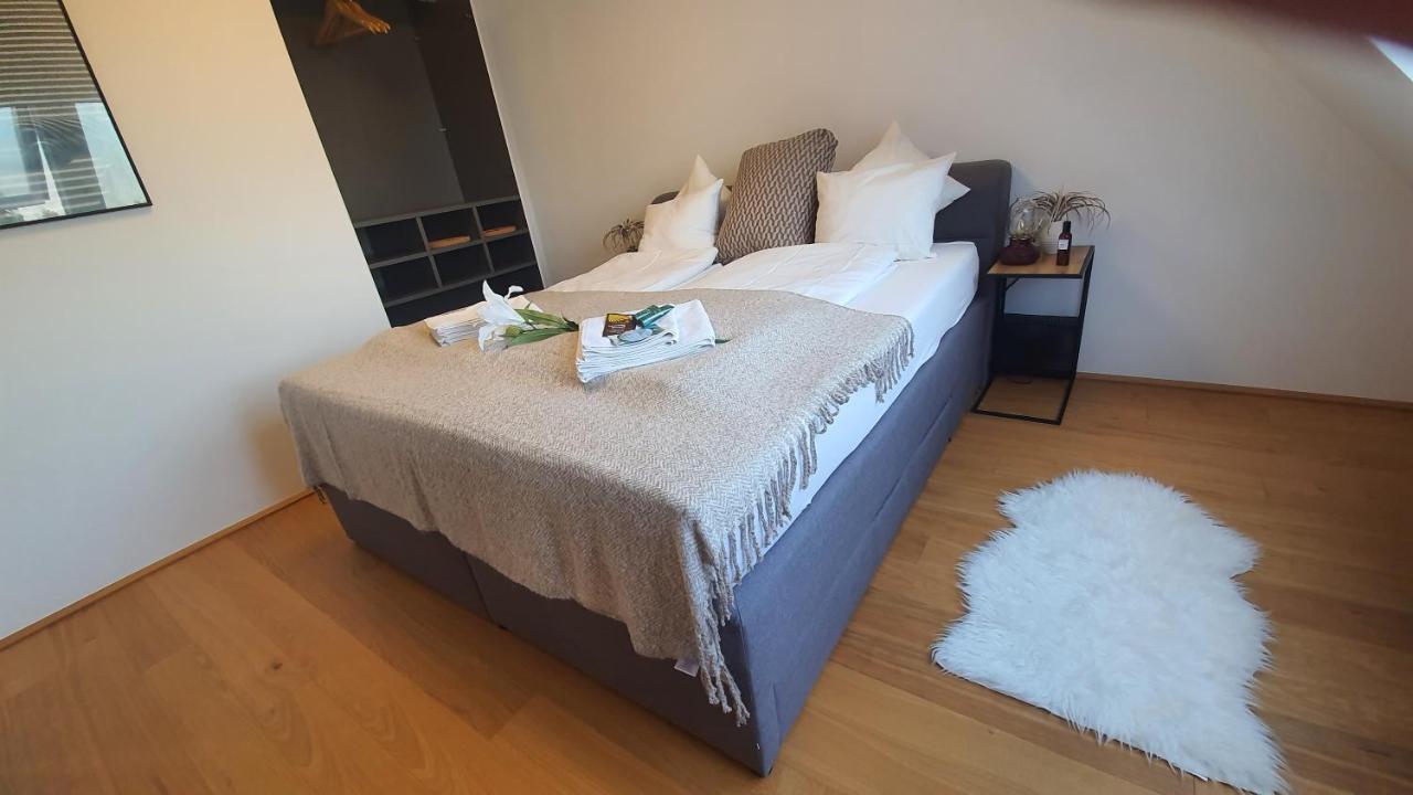 Rooftop Terrace, Free Garage Parking And Pool! Vienne Extérieur photo