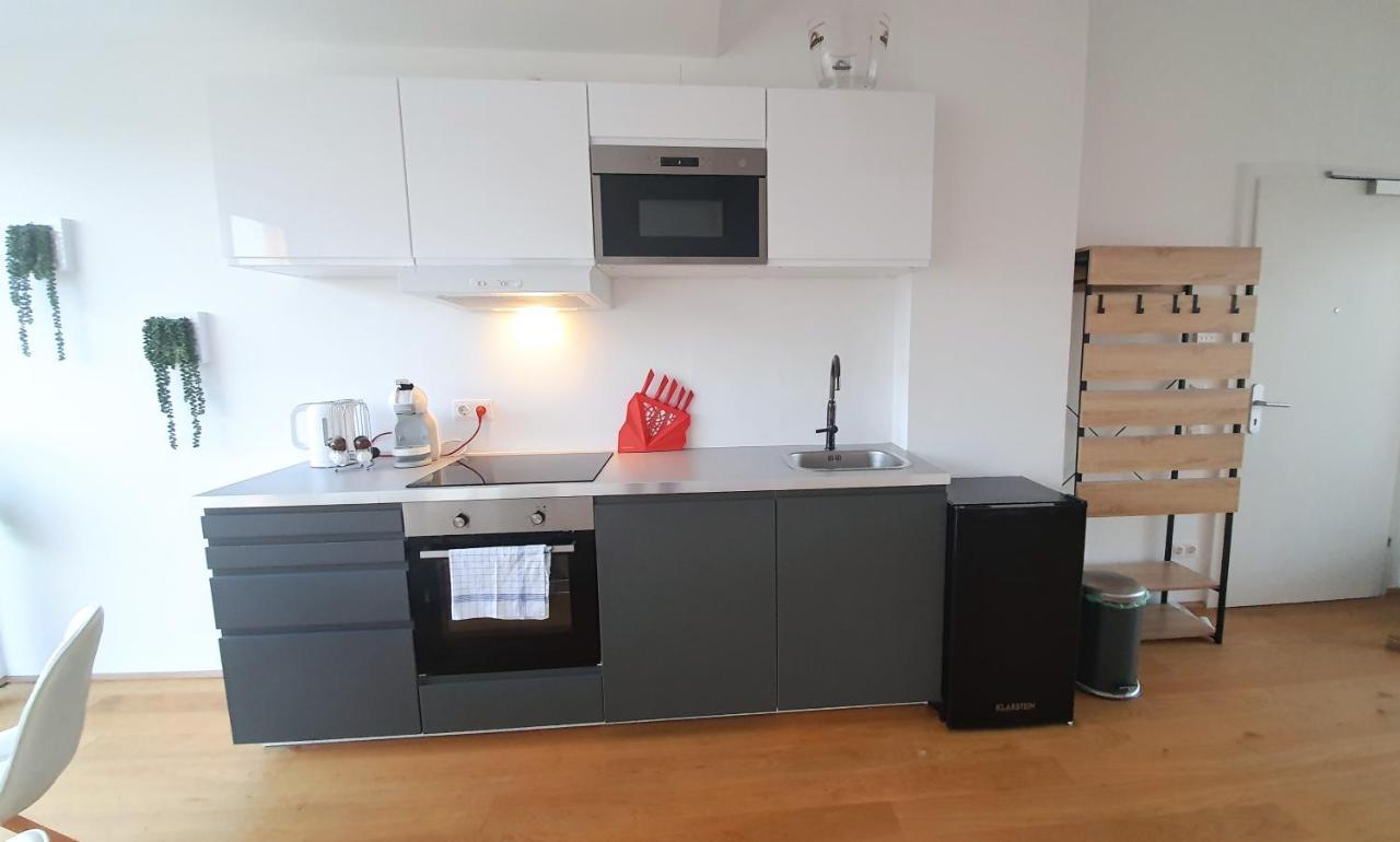 Rooftop Terrace, Free Garage Parking And Pool! Vienne Extérieur photo